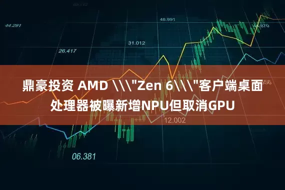 鼎豪投资 AMD \